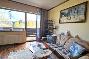 toplage-altenmarkt-zauchensee--bezaubernde-ferienwohnung-mit-herrlichem-panoramaausblick